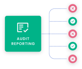 Streamlined audit reporting